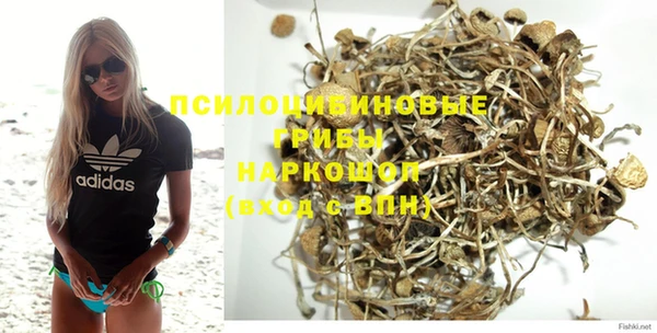 прущие крисы Богородицк