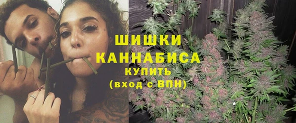 тгк Бородино