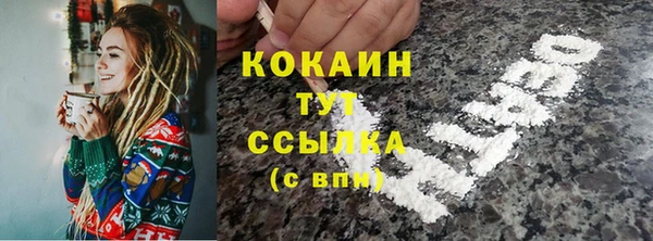 тгк Бородино